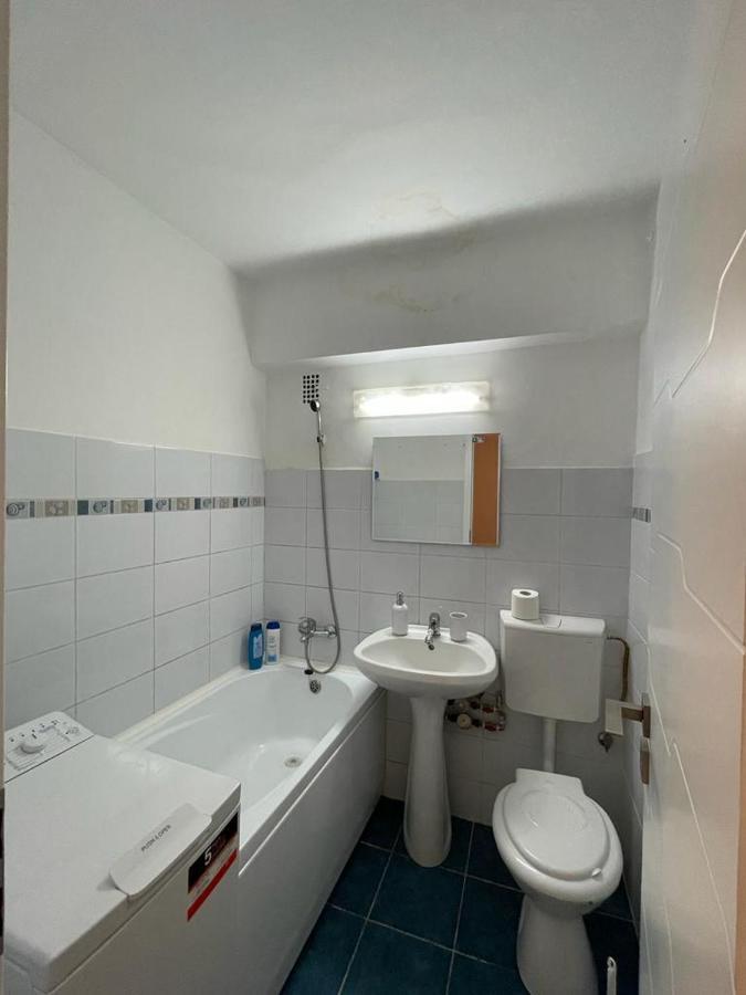 Bega Circumvalatiunii 1 Room Apartament - 2 Τιμισοάρα Εξωτερικό φωτογραφία